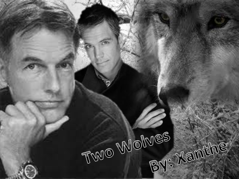 https://www.xanthe.org/images/NCIS/Two%20Wolves.bmp