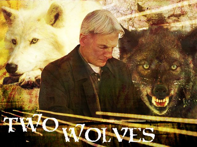 https://www.xanthe.org/images/NCIS/two%20wolves%20graphic%20by%20winter_elf.png