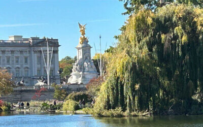 News, radio, hot chocolate, translations and much more…!