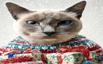 🐈⬛ DISCOUNTED BOOKS – DECEMBER ONLY!!! 🎄🎄